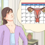 Natural Family Planning: A Complete Guide to Fertility Awareness Methods