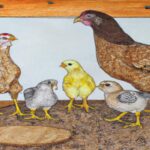 How Many Chickens for a Family of 4: Complete Backyard Flock Planning Guide