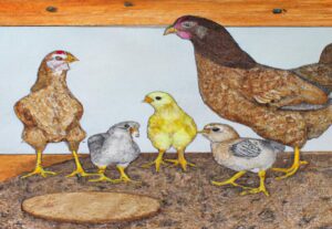 How Many Chickens for a Family of 4: Complete Backyard Flock Planning Guide