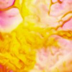 Unlocking the Power of Gut Health: How Your Microbiome Shapes Immunity