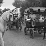 Transforming Societies: The Impact and Evolution of Transportation Revolutions