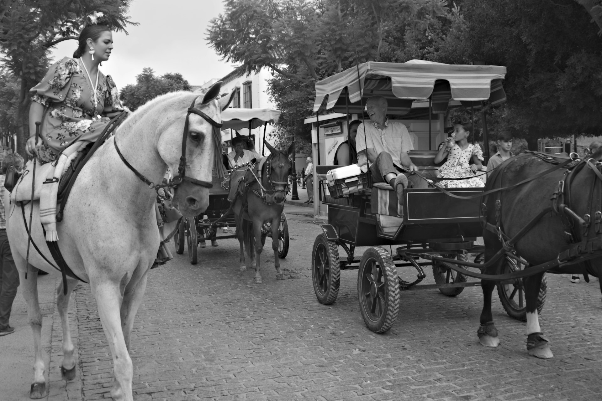 Transforming Societies: The Impact and Evolution of Transportation Revolutions