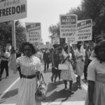 A Comprehensive Guide to the History and Impact of the American Civil Rights Movement