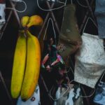 Unlocking Better Health: Why Nutrition Literacy Matters More Than Ever