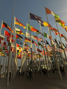 World Fairs: Catalysts for Global Cultural Exchange and Understanding