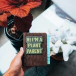 Mindful Parenting: Transformative Lifestyle Choices for Stronger Family Bonds