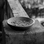 A Comprehensive History of Food Scarcity and Famine: Lessons from Centuries of Crisis