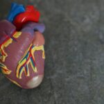 Uncovering Hidden Influences on Heart Health: Beyond Cholesterol and Blood Pressure