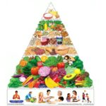 Nourishing Your Body: How Everyday Foods Support Long-Term Health and Resilience
